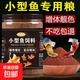 魚(yú)飼料魚(yú)食小顆?？兹隔~(yú)斑馬小金魚(yú)斗魚(yú)熱帶魚(yú)上浮小型魚(yú)專(zhuān)用魚(yú)糧 0.3mm增體増艷上浮魚(yú)糧丨適合2-4厘米魚(yú)體 高蛋白丨520ml/瓶+喂食勺 上浮顆粒丨不渾水丨不噴油丨增體丨増艷