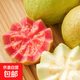 福建雙拼奶油芭樂(lè ) 番石榴 當季新鮮水果 健康水果 京東快遞包郵 雙拼芭樂(lè )4.5斤裝