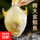 8條 特大號(hào)金鯧魚 新鮮海魚 鯧魚 深海冷凍海昌特大金昌海鮮水產(chǎn) 9兩-1斤左右/條 3條