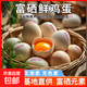 富硒鮮雞蛋 無(wú)抗生素 營(yíng)養新鮮 健康早餐 50±5克/枚 產(chǎn)地直發(fā) 30枚裝