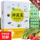 手把手教你種蔬菜 種菜栽培實(shí)用手冊(cè)蔬菜種植技術(shù)私家菜園寶典書 蔬菜種植技術(shù)室內(nèi)室外西紅柿黃瓜茄子青菜辣椒草莓陽臺(tái)露臺(tái)陽臺(tái)庭院頂樓種植大全 手把手教你種蔬菜