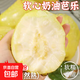 黃金奶油芭樂軟糯番石榴新鮮水果低卡輕食 2斤（帶箱）