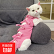 【養(yǎng)寵必備】貓咪絕育服術(shù)后保養(yǎng)貓狗透氣斷奶服防脫綁帶術(shù)后衣服 粉色【高品質(zhì)】 M