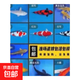 錦鯉魚活體觀賞魚活魚小型易養(yǎng)冷水淡水魚小魚苗錦鯉金魚好看錦鯉 紅白6-8cm 3條