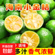 海南小金桔新鮮鮮果檸檬小青檸小青桔金橘場地直發(fā)現(xiàn)摘包郵 【250g】單果10-20g 中果嘗鮮裝