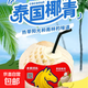 水果碼頭泰國進(jìn)口香水奶椰天然椰青9粒裝 送吸管開(kāi)椰器單果900g