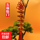 精品葫蘆串解決門(mén)對(duì)門(mén)十福葫蘆掛件五福臨門(mén)旺宅十全十美小葫蘆 五福臨門(mén)【1條】
