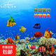 魚缸造景仿真塑料魚假魚水母動(dòng)植物仿真魚水族裝飾用品 魚缸擺件-造景仿真魚5個(gè)
