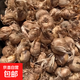 藥用藏紅花種球盆栽耐寒耐凍花卉番紅花種子苗室內(nèi)室外藥材種植苗 【特大號(hào)球】藏紅花大種球20顆+4 12+