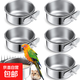 鳥(niǎo)食罐食杯不銹鸚鵡八哥鷯哥小鳥(niǎo)喂食器防啃咬養鳥(niǎo)用品用具食盒 鳥(niǎo)食罐10*4.5cm