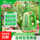 水培植物濃縮營養(yǎng)液通用家用水栽水生花卉發(fā)財樹營養(yǎng)液植物營養(yǎng)液 500g通用型植物營養(yǎng)液1瓶