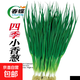 春蝶蔬菜種子四季播盆栽陽臺庭院黃瓜豆角番茄甜瓜易種籽孑大全 四季小香蔥【原裝1包 約800?！?一包(試種貴在快遞費)