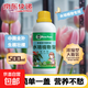 植物營(yíng)養(yǎng)液植物花卉營(yíng)養(yǎng)液多肉綠植蔬菜營(yíng)養(yǎng)液水溶通用肥料500ml 【水培植物專(zhuān)用】營(yíng)養(yǎng)液500ml