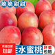 現貨【山西水蜜桃】2025水蜜桃當季水果新鮮脆甜多汁孕婦猴哥 帶箱5斤凈重4.5斤單果100g+
