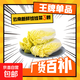 云南高原娃娃菜新鮮蔬菜生鮮乾隆白菜早餐火鍋必備產(chǎn)地直發(fā) 淺黃色 新鮮娃娃菜3顆裝*1包