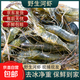 微山湖漁民捕撈新鮮野生河蝦小河蝦青蝦淡水蝦急凍鎖鮮250g/盒 小號(hào)河蝦(2-3cm) 500g(凈重)