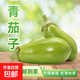 新鮮青茄子軟糯香甜皮薄肉厚新鮮蔬菜生鮮湘菜必備炒菜 青茄子 4斤