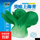 春蝶蔬菜種子四季播盆栽陽(yáng)臺庭院黃瓜豆角番茄甜瓜易種籽孑大全 上海青【1包約1000?！?一包(試種貴在快遞費)