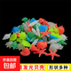 魚(yú)缸夜光海螺貝殼魚(yú)缸水族造景微景觀(guān)戲水玩具 10個(gè)海螺貝殼隨機造型顏色