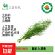 【超市品質(zhì)】有機小茴香現(xiàn)摘現(xiàn)發(fā)新鮮蔬菜生鮮 1000g