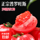 內(nèi)蒙普羅旺斯沙瓤新鮮水果生吃草莓心番茄夏季必備超市減肥 中果-普羅旺斯 4.5斤 【13-16枚】
