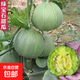 綠寶石甜瓜種子薄皮超甜香瓜種子春季綠皮四季脆瓜早熟高產香瓜籽 綠寶石甜瓜種子/包約100粒 1包