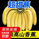 云南高山香蕉 甜糯香蕉青皮蕉當(dāng)季現(xiàn)摘芭蕉需催熟 黃色 帶箱2斤