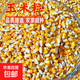 新干玉米粒黃紅色玉米粒農家自種玉米粒傳統老品種 黃玉米粒5斤