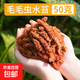 智利進(jìn)口毛毛蟲(chóng)水苔七星干苔蘚蝴蝶蘭花專(zhuān)用土基質(zhì)烏龜冬眠墊材 智利毛毛蟲(chóng)水苔50g【體驗裝】