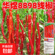 8898線(xiàn)椒種子香辣特辣辣椒薄皮紅辣子高產(chǎn)線(xiàn)椒農家大田蔬菜辣椒籽 8898辣椒種子 1包約300粒