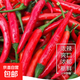 廣西小米辣5斤新鮮特辣朝天椒紅辣椒辣椒泡椒剁椒小米椒 新鮮小米辣 250g帶箱重