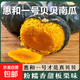 貝貝南瓜新鮮板栗味老南瓜正宗甜粉糯嬰兒小南瓜5斤包郵水果蔬菜 帶箱【單果300g起】惠和一號(hào) 9斤