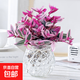 吊蘭垂吊植物花卉植物室內(nèi)花盆栽多肉水培綠植陽臺(tái) 油畫吊蘭+【水培瓶】+水晶泥+營養(yǎng)液