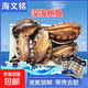 鮑魚深海鮑魚鮑螺鮮活速凍液氮鎖鮮新鮮海珍商用送禮包郵 深海鮑魚【370g*2】