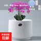 盆生花道特價(jià)花盆陶瓷簡(jiǎn)約透氣帶托盤(pán)家用陽(yáng)臺盆栽綠植多肉盆廠(chǎng)家 大號雅典古瓷白(配托) 無(wú)規格