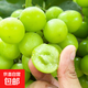 云南高原陽(yáng)光玫瑰青提（香味足） 凈重1.8-2.2斤【單果6g+】