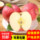 京喜加產(chǎn)地直供山西紅富士膜袋蘋(píng)果新鮮當季冰糖心脆甜爽口有裂紋 紅富士?jì)糁?.5斤75mm+