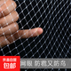 1厘米小網(wǎng)孔專(zhuān)用防小鳥(niǎo)網(wǎng)防冰雹網(wǎng)絲網(wǎng)菜地陽(yáng)臺果園防鳥(niǎo)果樹(shù)防鳥(niǎo) 2米寬20米長(cháng)【1.0網(wǎng)孔】