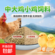 小雞飼料開(kāi)口料雛雞鴨鵝鳥(niǎo)料中大雞料全價(jià)雞食釣魚(yú)打窩營(yíng)養蛋白料 雞鴨鵝飼料 幼雛料【買(mǎi)20斤送20斤】到手40斤