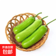 農家新鮮現摘瓠子瓜蒲瓜胡瓜新鮮蔬菜生鮮夜開(kāi)花 瓠瓜 4斤 帶箱