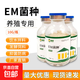 EM菌種養殖專(zhuān)用發(fā)酵劑畜牧豬牛羊禽用雞鴨鵝EM益生菌發(fā)酵粉劑原液 EM菌種-養殖專(zhuān)用【5瓶】