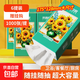 【千萬(wàn)銷(xiāo)量】向日葵油畫(huà)系列1000張懸掛式抽紙衛生紙4層加厚 4層 1000張*6提