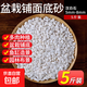 鵝卵石魚缸造景底砂石小白石子多肉鋪面石盆栽花盆養(yǎng)花水培石頭 5-8毫米白玉石5斤