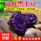 黑土豆新貨紫色大土豆馬鈴薯黑美人土豆烏洋芋紫皮紫心新鮮黑金剛 新鮮黑土豆 5斤