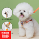 寵物牽引繩子遛狗外出中小型犬背心式小雛菊印花純棉胸背帶 黃色 S（4-6斤） 夏日清新小雛菊牽引胸背帶套裝 加密純棉面料+甄選長(cháng)絨面