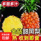 正宗海南金鉆鳳梨新鮮當(dāng)季孕婦水果金鉆甜鳳梨直接吃無需泡水爆甜 大果1.8斤起 2-3個 凈重4.5斤