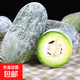 新鮮小冬瓜香冬瓜毛節(jié)瓜水果涼感小冬瓜新鮮蔬菜生鮮生鮮刮油減脂 新鮮小冬瓜 4斤 暢銷裝