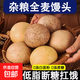 手工雜糧饅頭蕎藜全麥燕麥低糖低脂粗糧代餐主食早餐【京東快遞】 蕎麥饅頭100g 20個(gè)