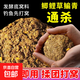 秋冬釣魚(yú)窩料野釣打窩料鯽鯉草青鳊魚(yú)五谷雜糧小麥握團酒米底窩料 雜糧窩料【400g】5袋大小通殺