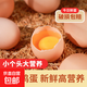 正宗土雞蛋農(nóng)家散養(yǎng)新鮮雞蛋草雞蛋笨雞蛋現(xiàn)撿現(xiàn)發(fā)早餐溏心蛋買菜 40枚